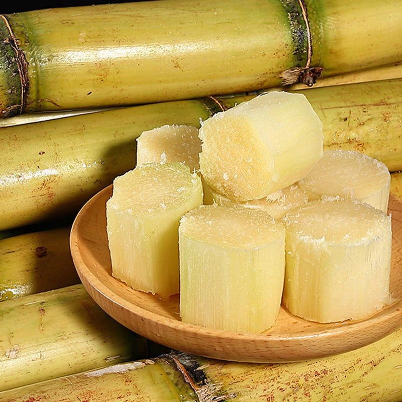 云南甘蔗脆甜多汁新鲜现砍当季热带水果