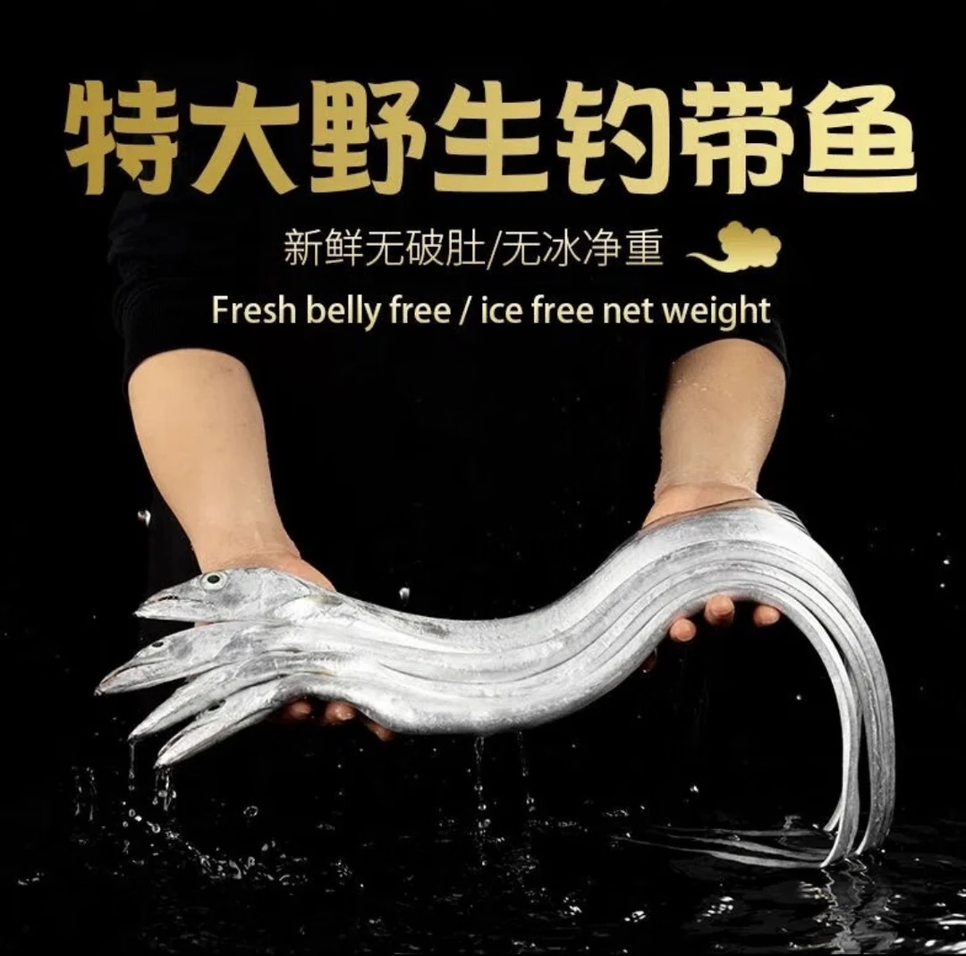 速冻 新鲜钓带 1斤-2斤/条 连云港发货