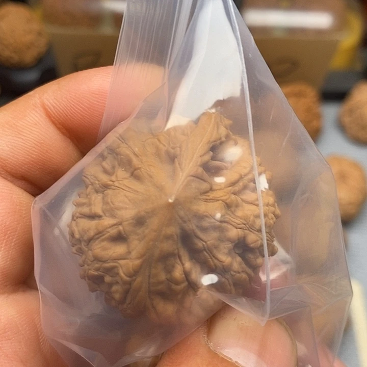 文玩核桃把件42麒麟纹官帽一根筋核桃