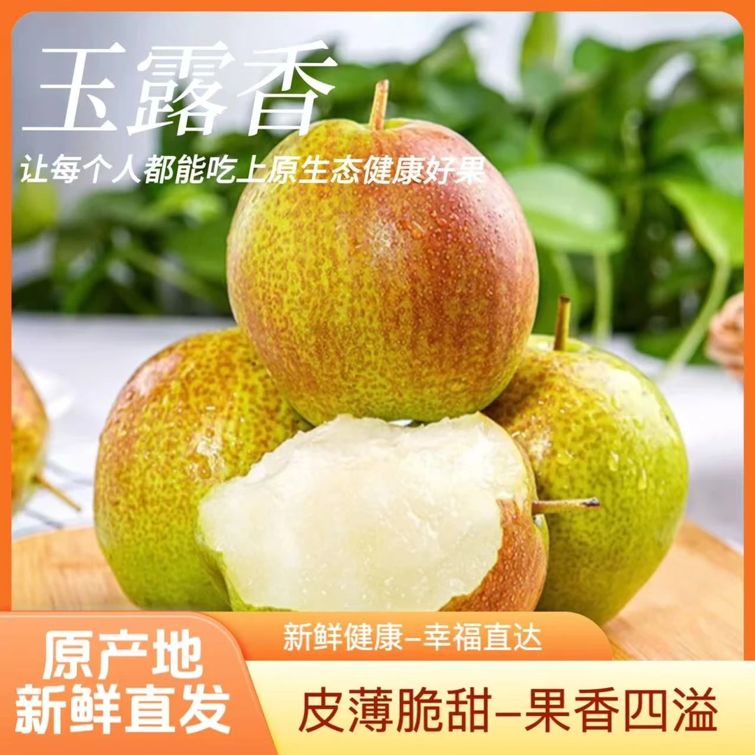 正宗玉露香梨新鲜应季水果脆甜多汁坏果包赔水果批发整箱产地直发