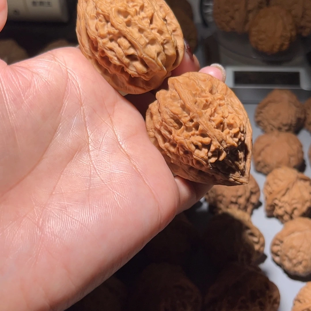 木质类大沽石40全品