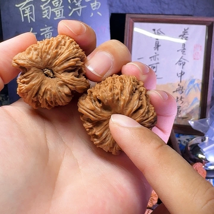大叶紫檀（黑酸枝木类）
