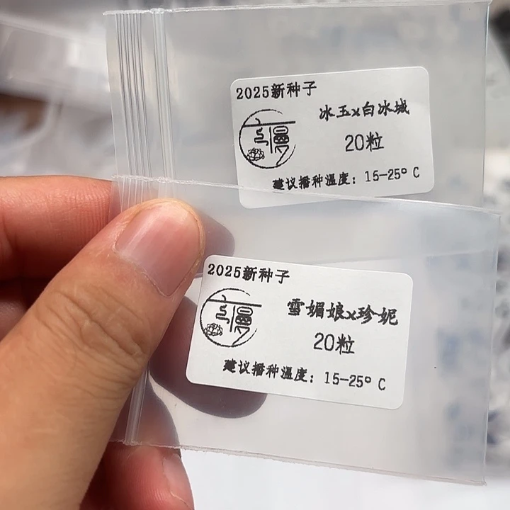 M***e如图2025新种子20粒