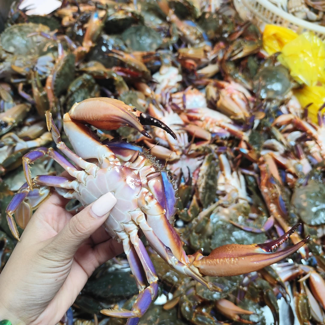 杂鱼顺丰包邮 海鲜