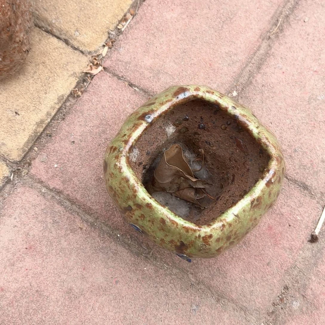 泥塑安*?古镇炻陶花盆