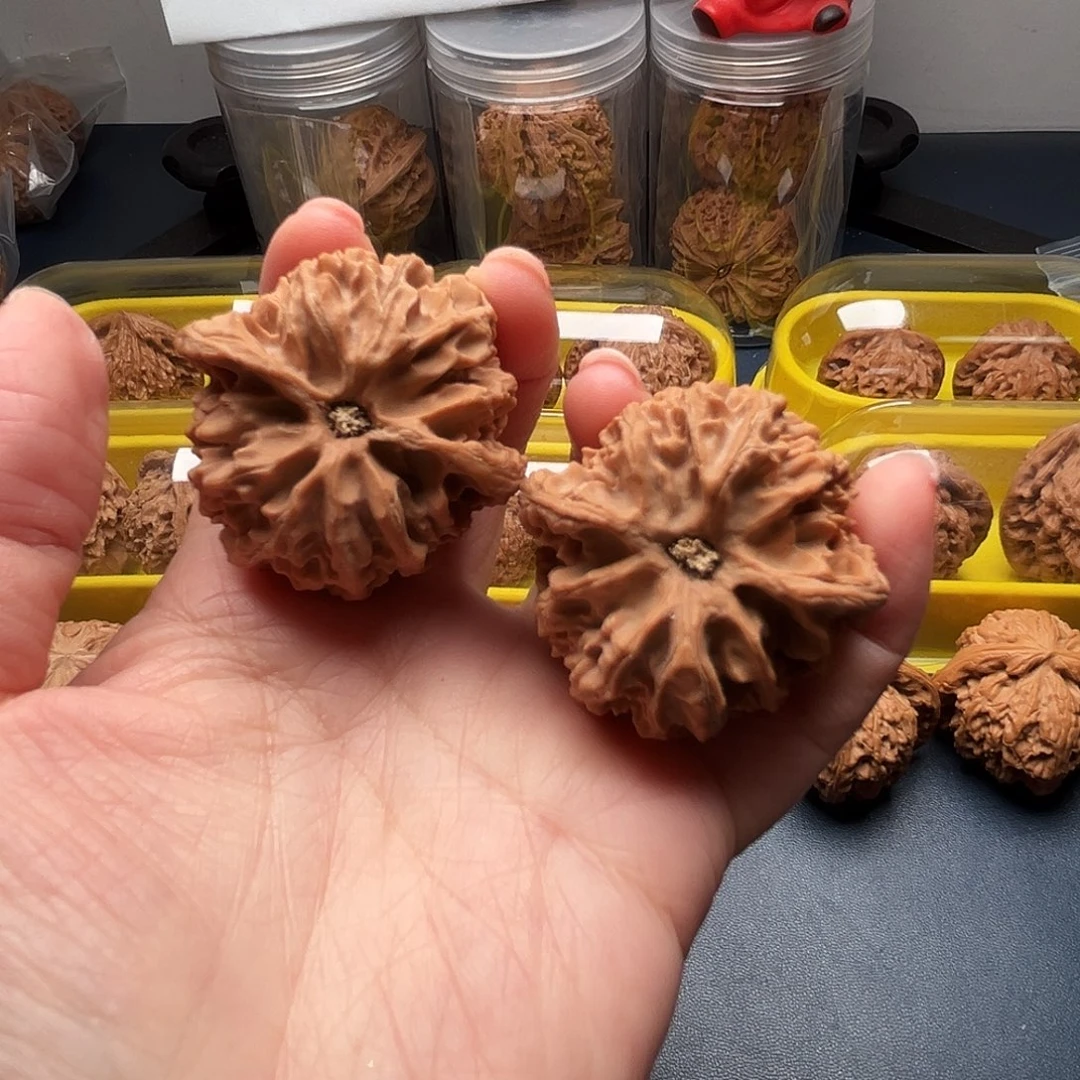 核桃42尺寸苹果园