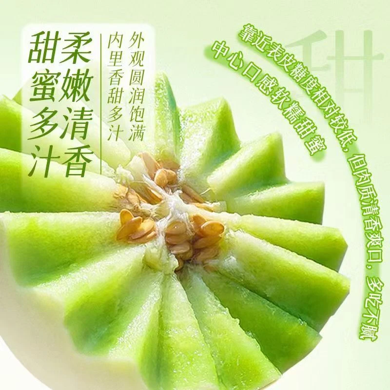 山东冰淇淋玉菇甜瓜新鲜水果产地直发现摘现发