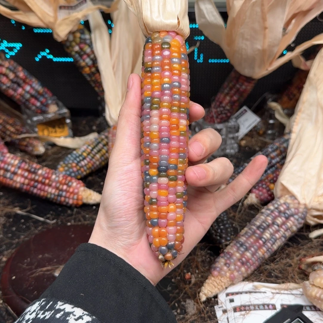 柏香籽/百香籽吊坠"*