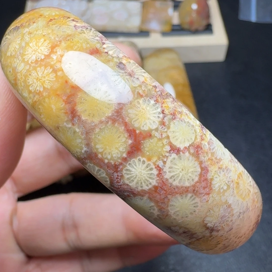 硅化珊瑚（珊瑚玉）未镶嵌纯天然色有机玉石保真色54.5圈口