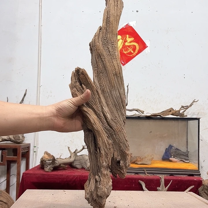 柏木C*S我们的生活是以自己的方式来