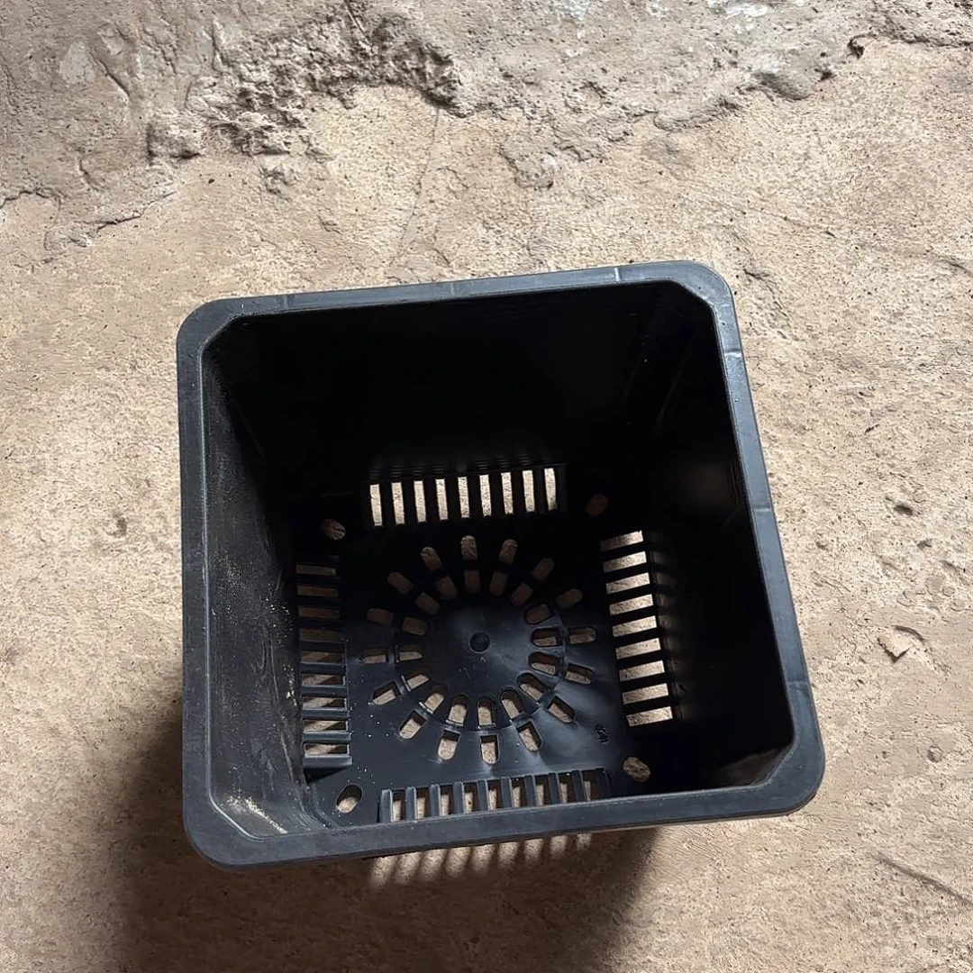 新黑方180口径发15个