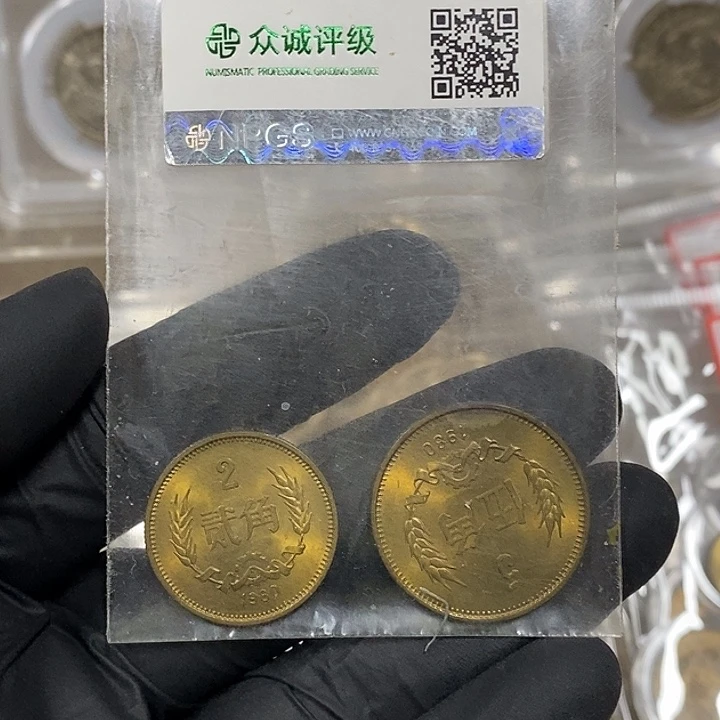铜8002，8005各一枚，如图