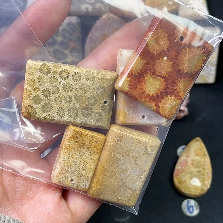硅化珊瑚（珊瑚玉）珠宝金石合金Z****6