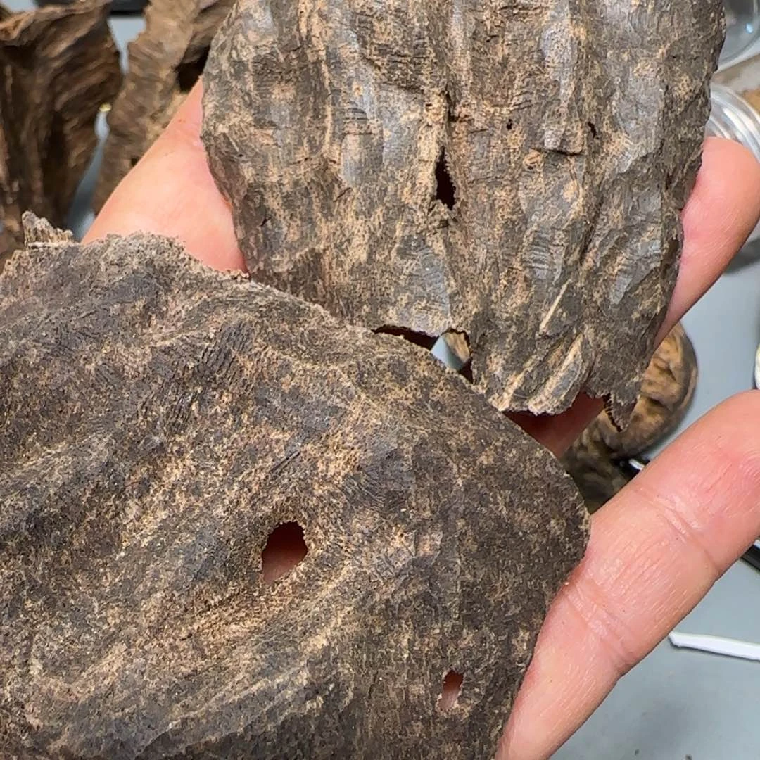 沉香碎屑沉香12.35克海南霸王玲包头不退