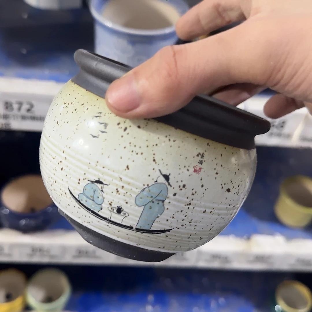 福利局绿植多肉盆［凑9元包邮24小时发］872