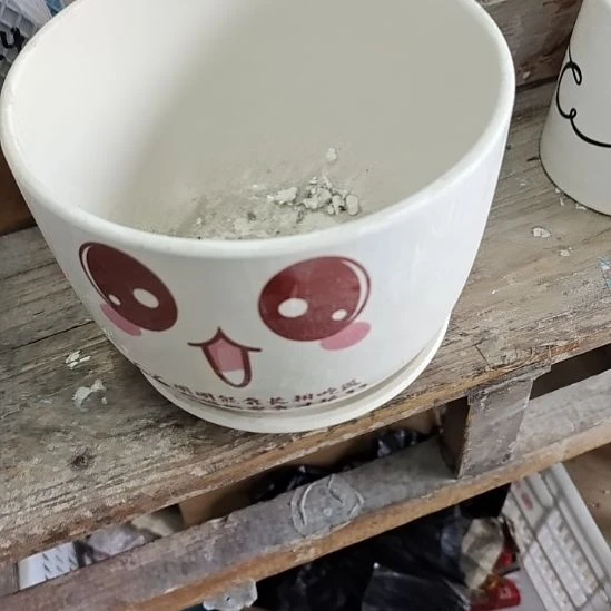 微瑕陶瓷盆12包邮