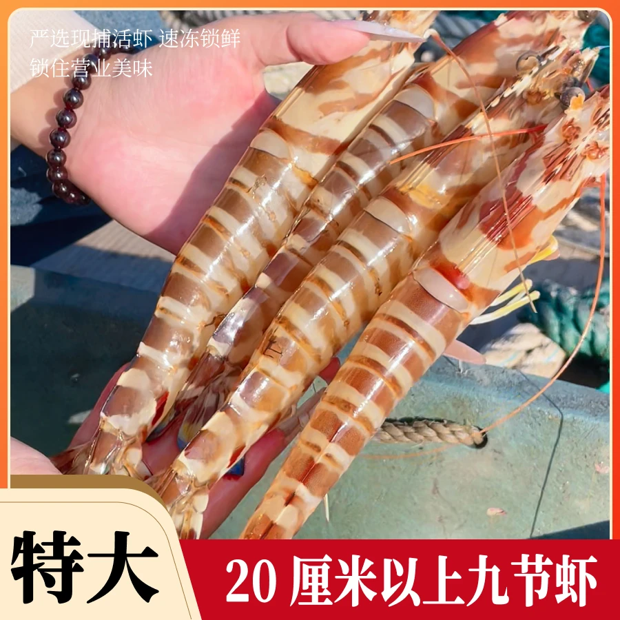 【特大九节虾】2盒 3-5条/350g盒 约20厘米 真海捕活冻竹节虾花虾