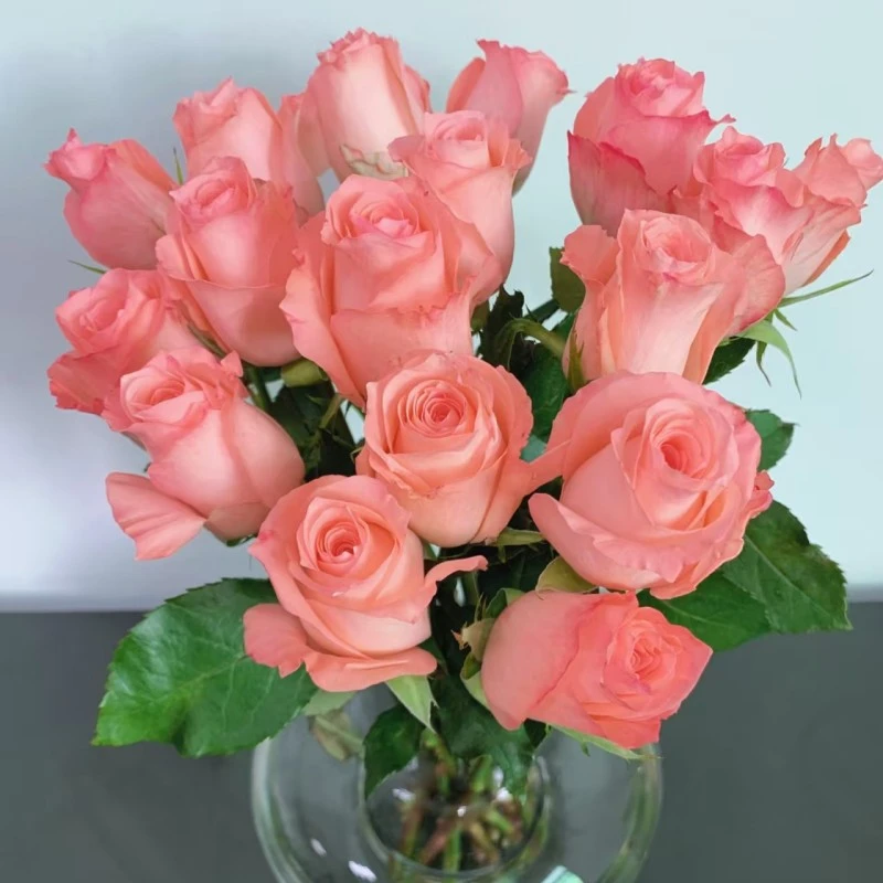 戴安娜鲜花鲜花一单中通包邮，两单升级顺丰冷链