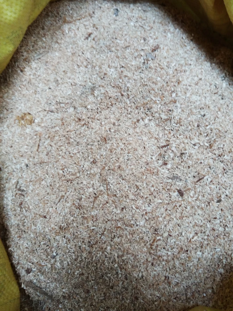 三角梅枝条扦插基质木屑