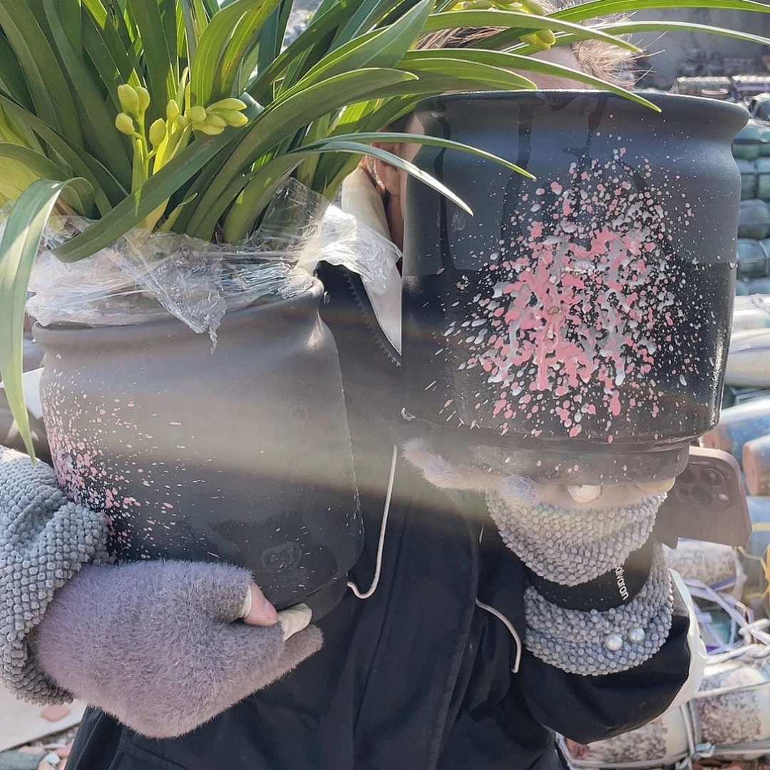 红陶高好看的一对儿