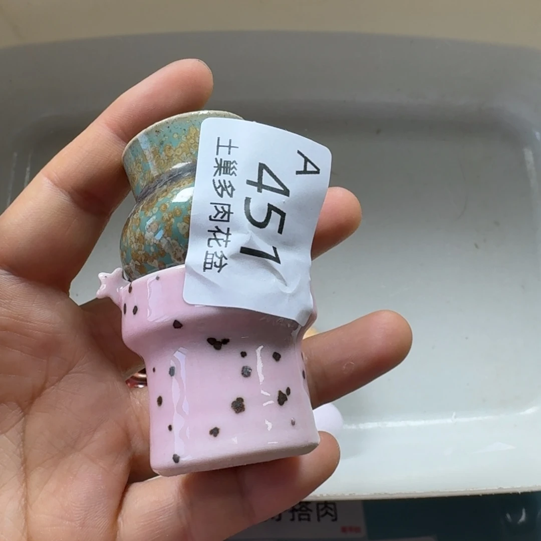 ₍***星陶瓷艺术品设计与制作