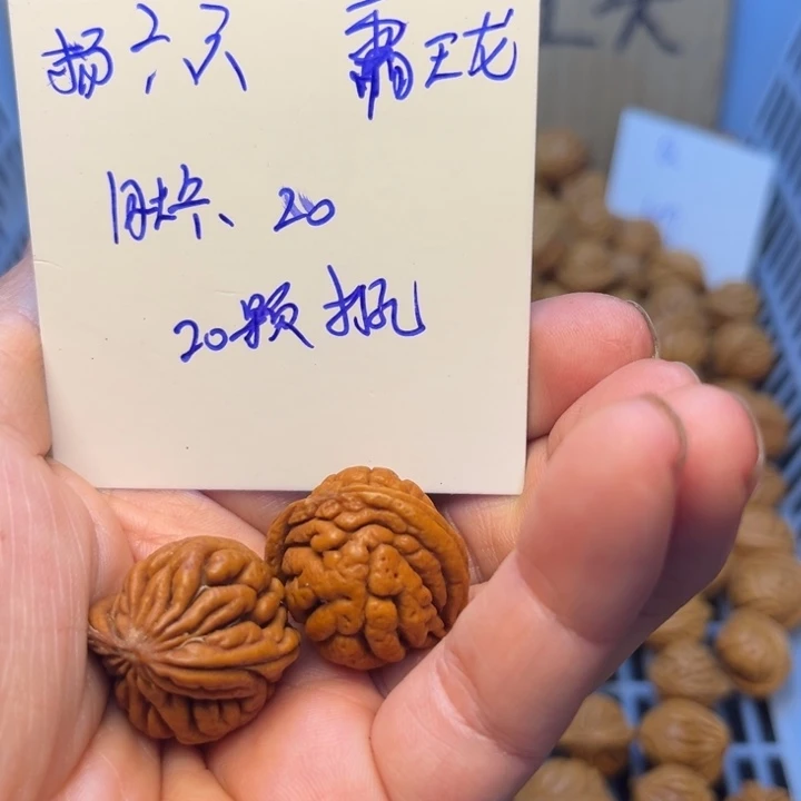 桃核吊坠霸王龙桃核