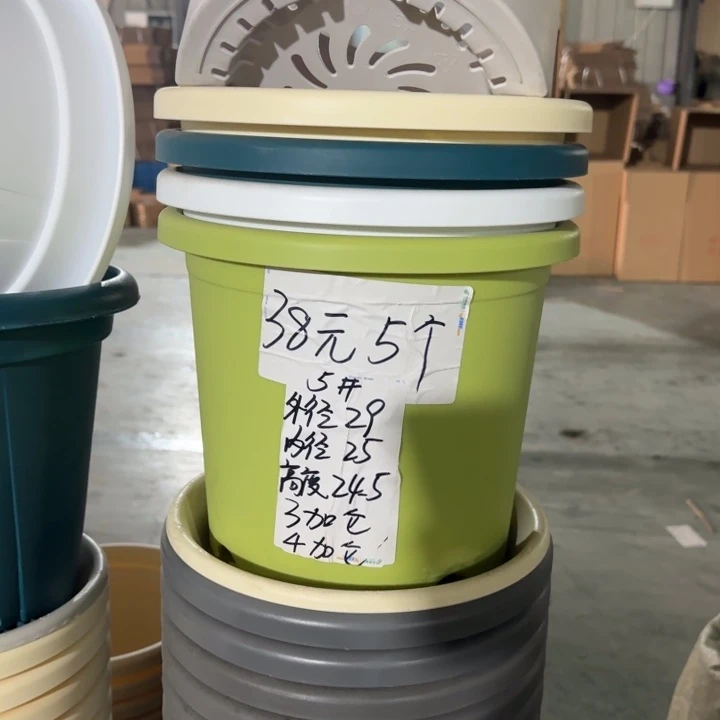 四季5#口径29无托果绿10个