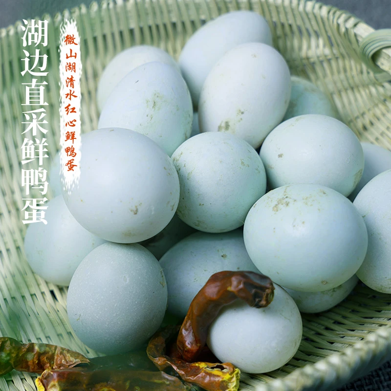 微山湖特产鲜鸭蛋麻鸭蛋个大新鲜散养现捡现发新鲜鸭蛋生鸭蛋