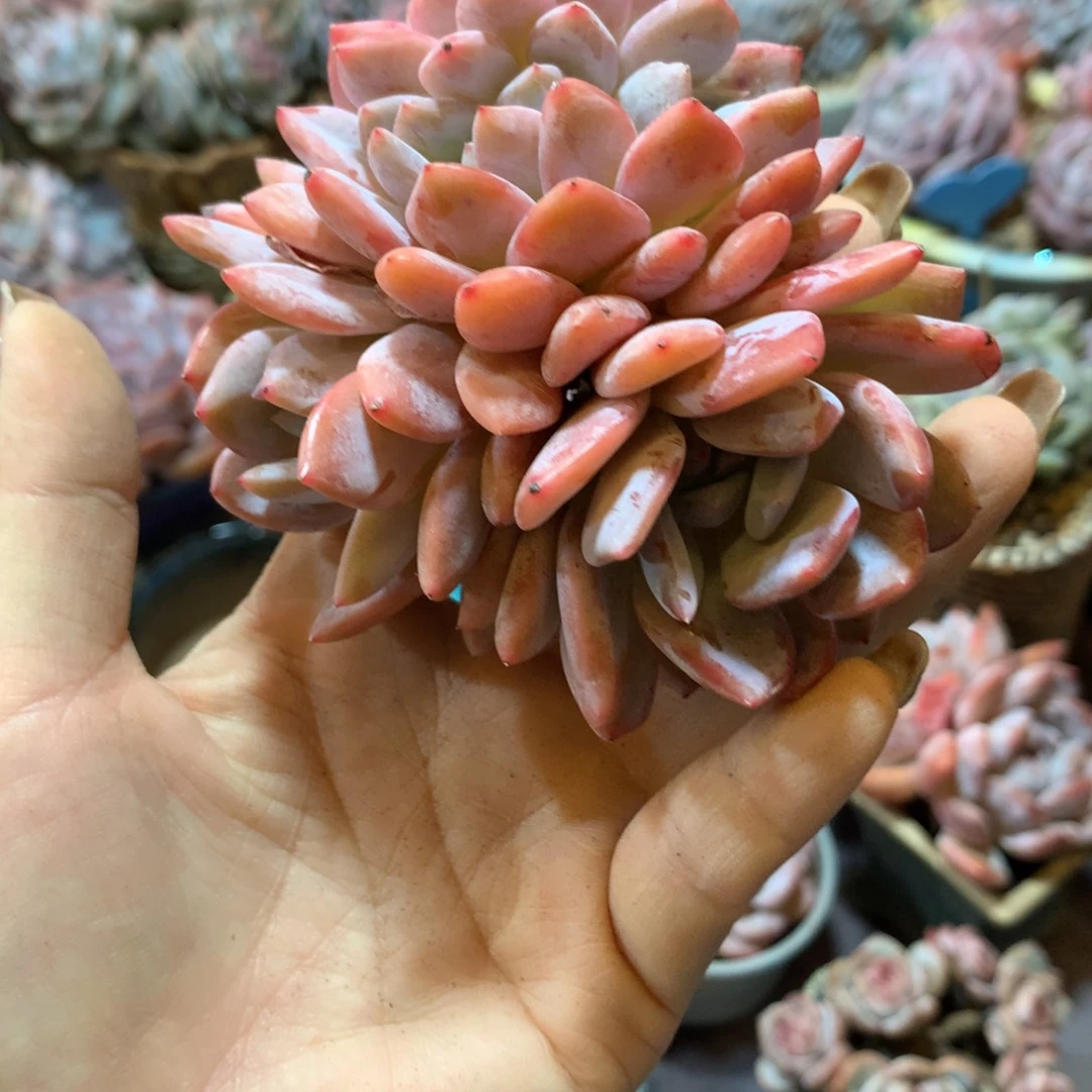 哈哈哈哈哈哈哈哈哈哈