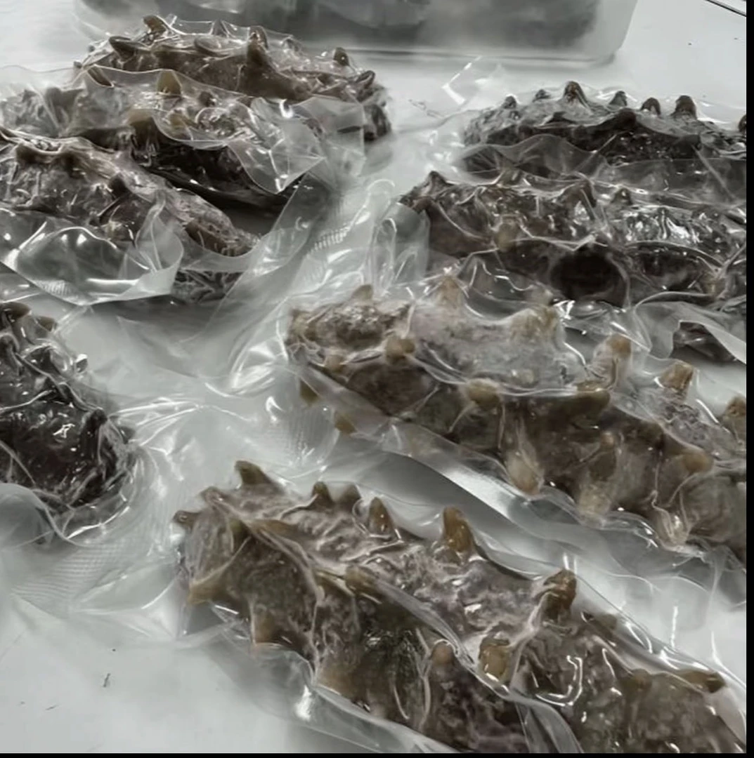 大连海参500g8头独立真空包装即食海参