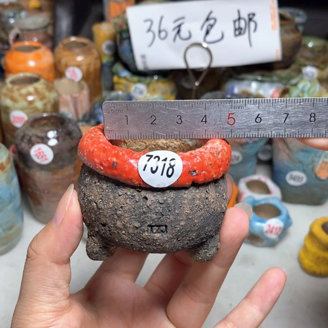 拍3送一个小礼物