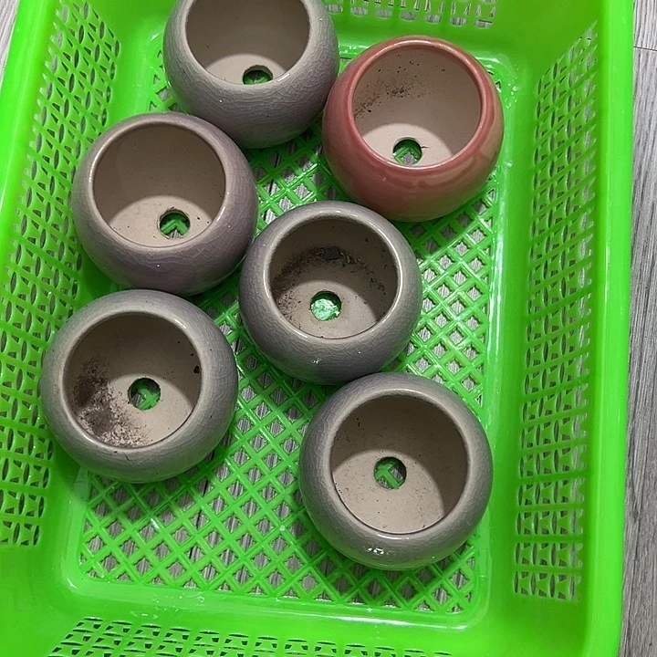 微瑕陶瓷花盆满9.9发