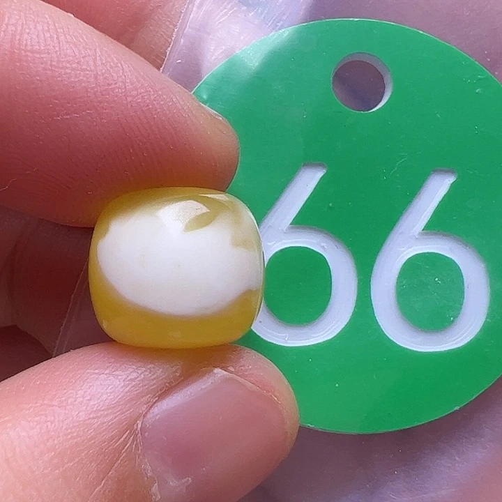 未镶嵌蜜蜡裸石12.4m m