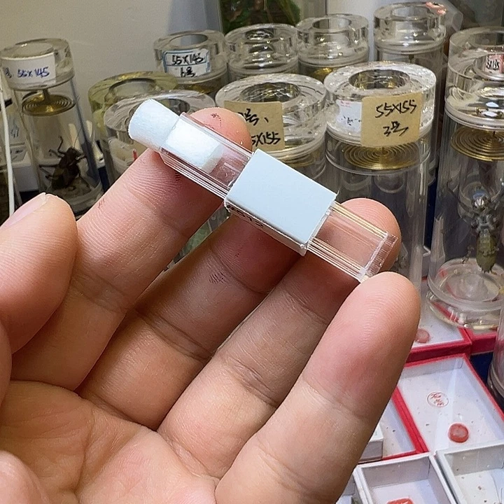 …*哈哈哈哈哈哈哈哈哈