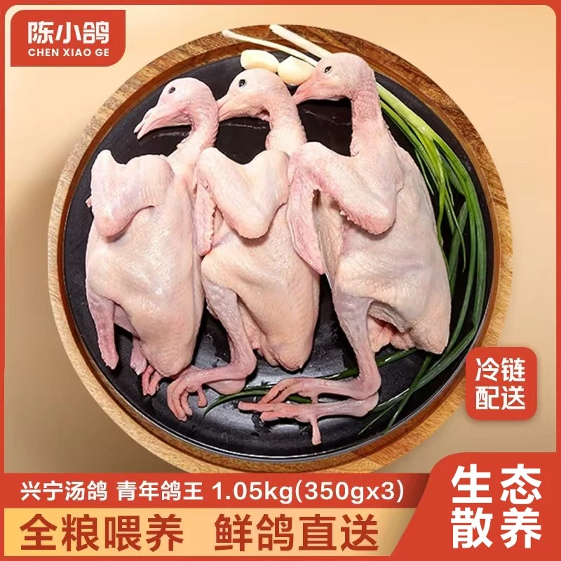陈小鸽【顺丰冷运】林间散养兴宁汤鸽青年鸽王谷物喂养新鲜直达营养