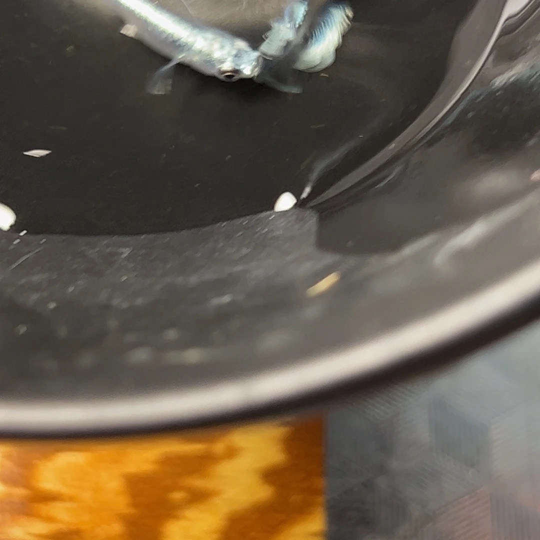 海水玛丽亚一组81号