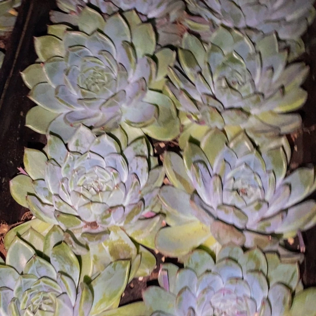 Z***n570的人在一起的时候就会觉得