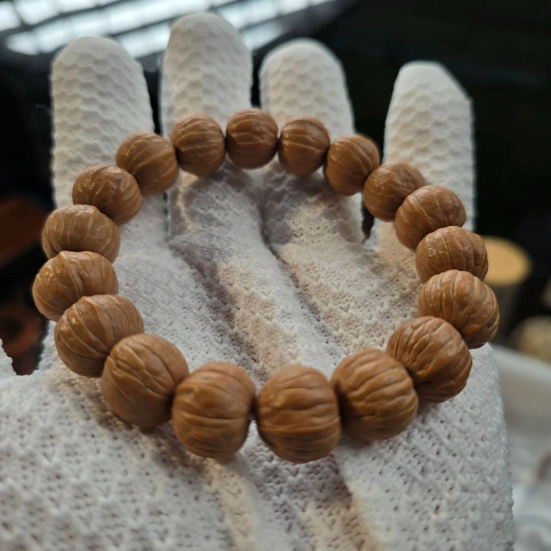 新人福利见面礼猴头单圈