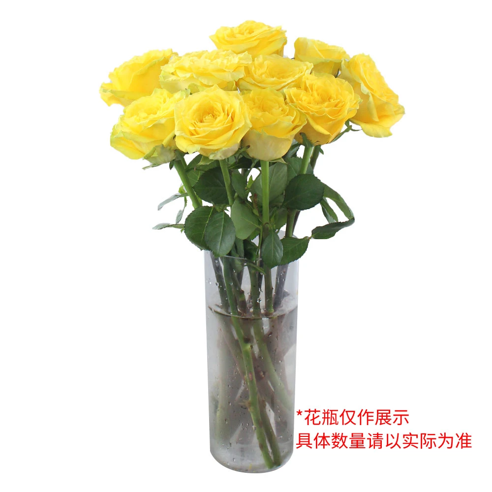 月光漫步玫瑰 10支
