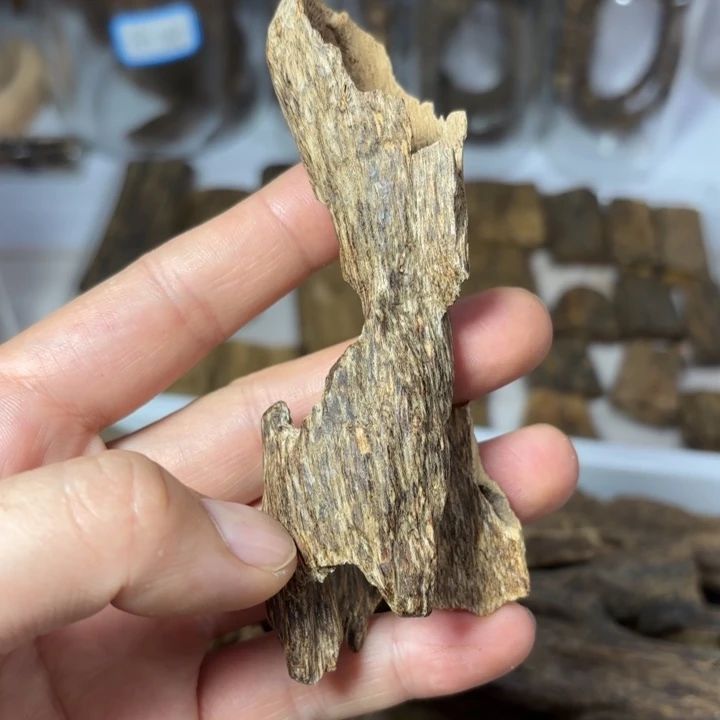 沉香碎屑沉香兰****…国香虫漏块料10克