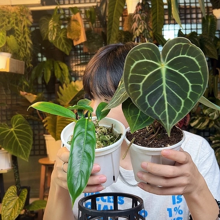 山***尔完全开放一物一拍Q138 139