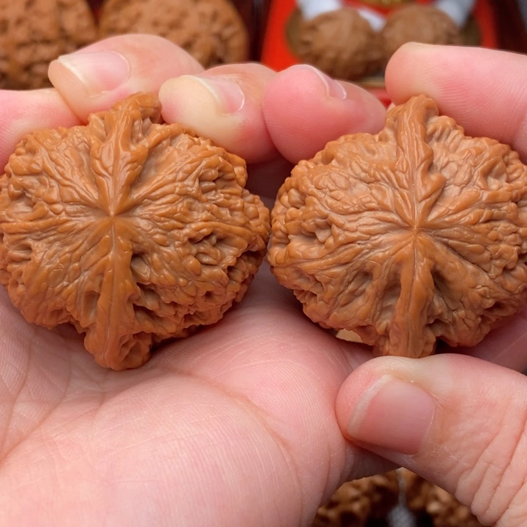 把件文玩核桃42全品毕业粗筋