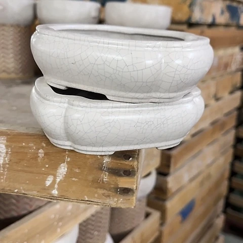 ···2个处理······