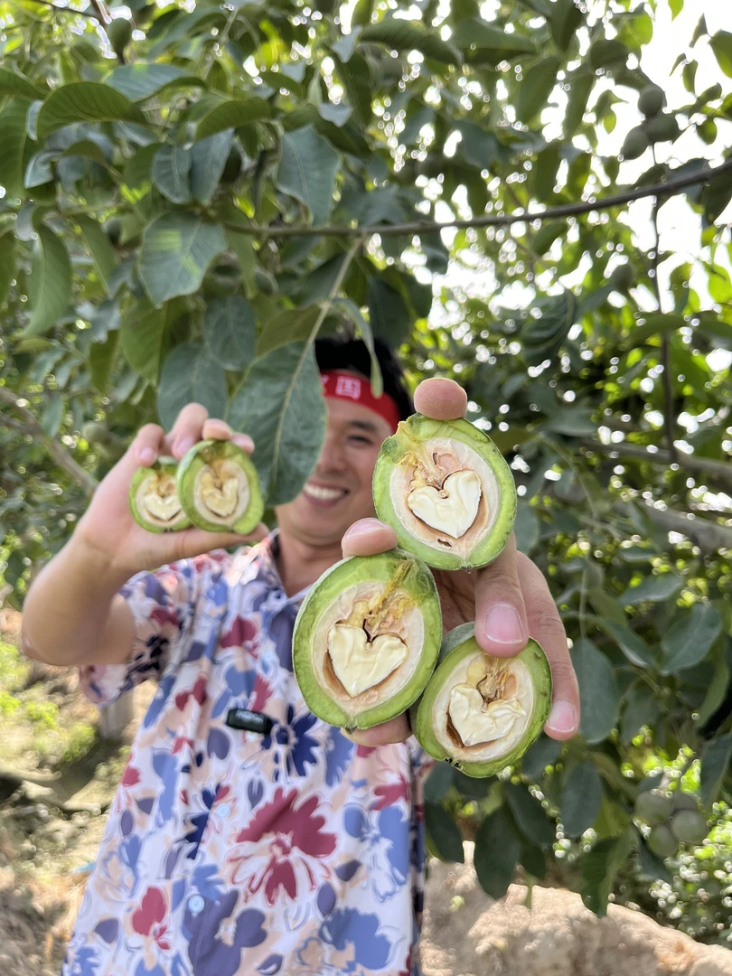 【新疆直发】2025年新疆自家种植185纸皮鲜核桃带青皮孕妇现摘现发