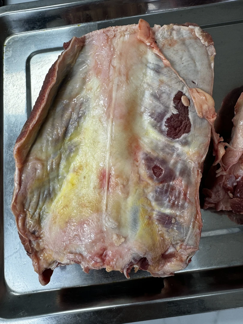 牛尾根（牛尾骨）带肉多