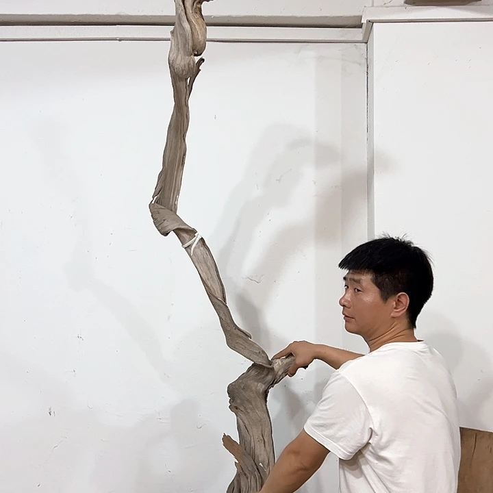 柏木笑*我们的生活也是如此的丰富多彩