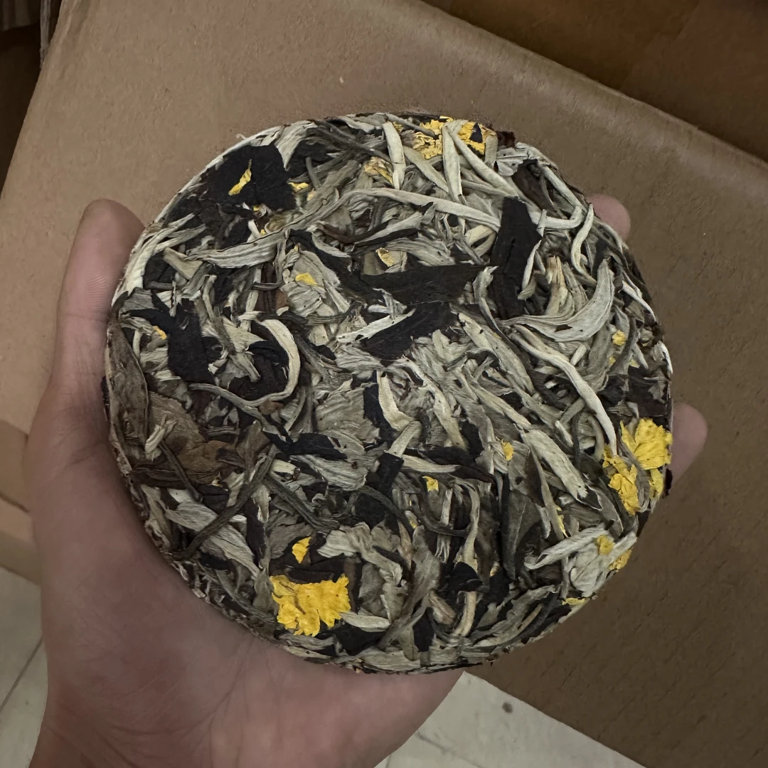 古树白茶脚配菊花《菊花月光白》