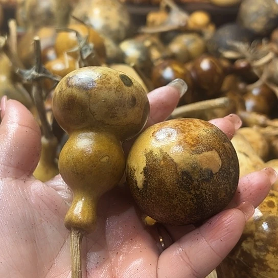 豆****呼葫芦葫芦葫芦葫芦