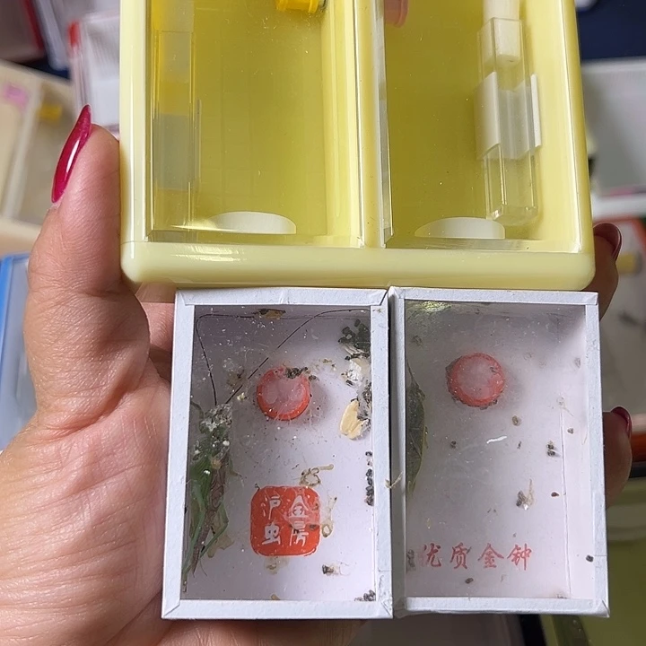 放***情蟋蟀哈哈哈哈哈哈哈哈哈