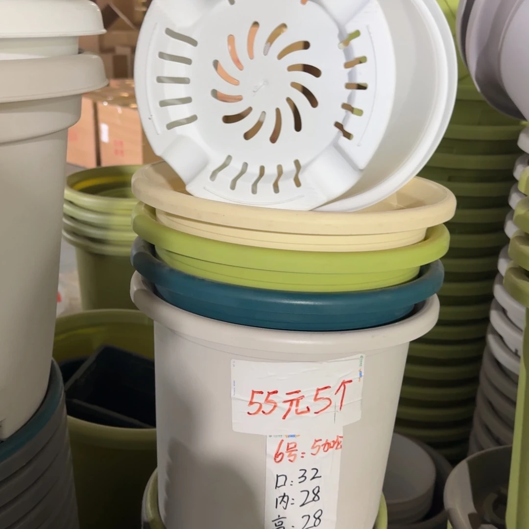 四季6#口径32无拖果绿5个